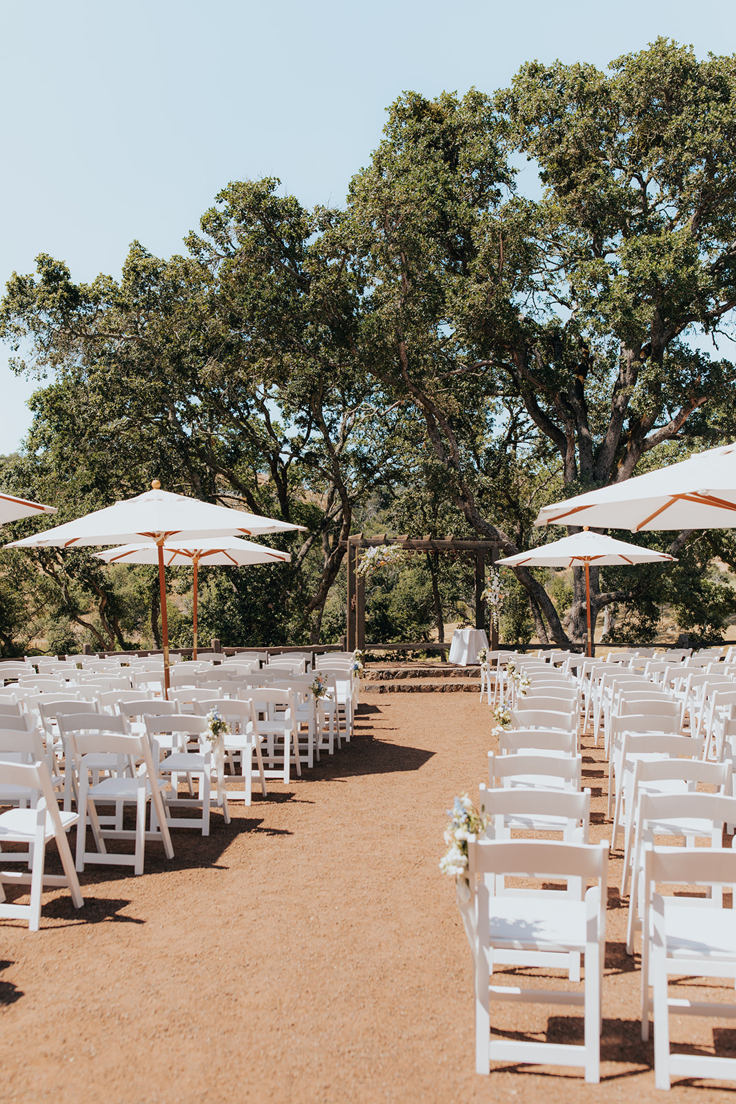 White chairs set under the oaks with umbrellas